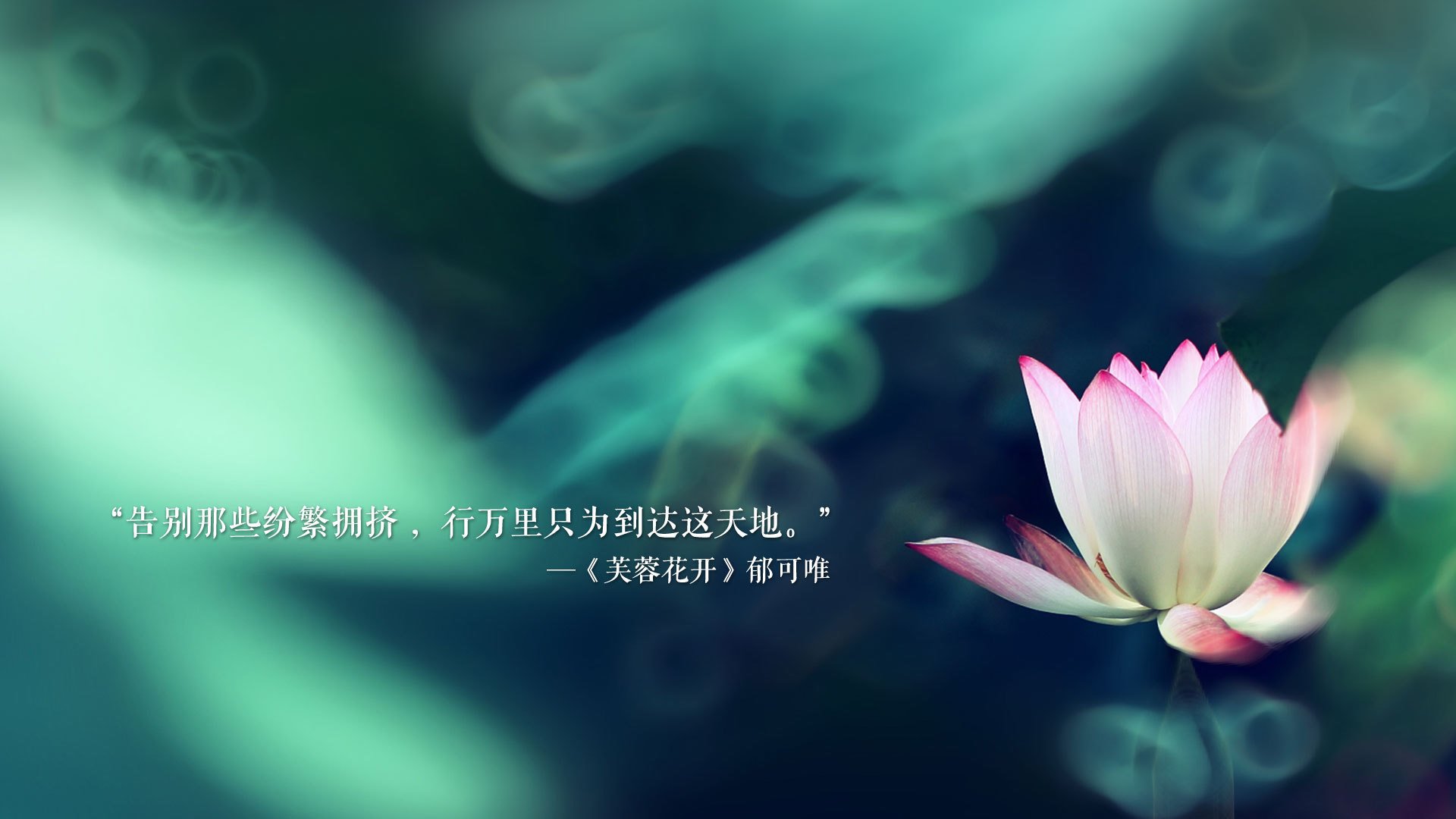 开云体育官网-沙漠绿洲的陨落，2026世界杯F组，美国完胜伊拉克，奥斯梅恩以一己之力改写足球版图